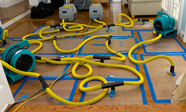 Professional Burst Pipe Water Damage technician working in Tacna, AZ